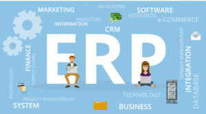 What is ERP Software & Why Do Businesses Need ERP Software - IQMinds